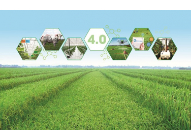 Phát triển nông nghiệp ở Việt Nam thời công nghệ 4.0