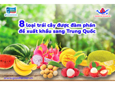 8 Loại Trái Cây Đang Được Đàm Phán Để Xuất Khẩu Chính Ngạch Sang Trung Quốc