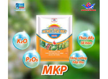Công dụng của phân bón lá MKP Korea