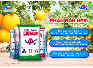Vai Trò Của Phân NPK Đối Với Cây Trồng
