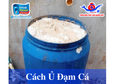 Cách Ủ Đạm Cá