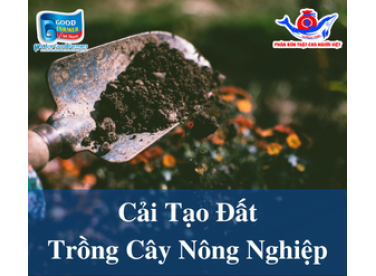 Cải Tạo Đất - Yếu Tố Quan Trọng Giúp Cây Trồng Hấp Thu Dinh Dưỡng