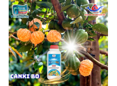 Vai Trò Của Canxi Bo Đối Với Cây Trồng