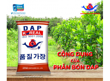 Công Dụng Của Phân Bón DAP Koreal Đối Với Cây Trồng