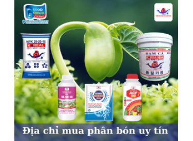 Phân Hóa Học Là Gì? Địa Chỉ Mua Phân Uy Tín?
