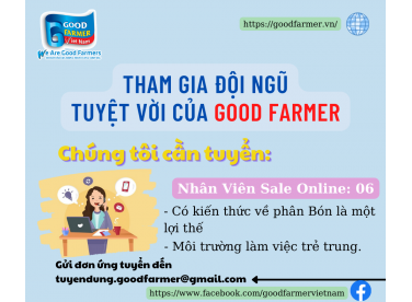 NHÂN VIÊN SALE ONLINE