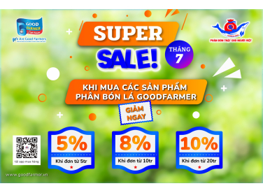 Chương Trình Siêu Ưu Đãi Chào Hè