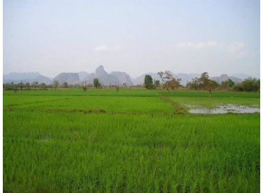 Tìm hiểu và phân loại đất nông nghiệp