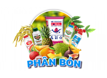 Tại Sao Phải Bón Phân Cho Cây?