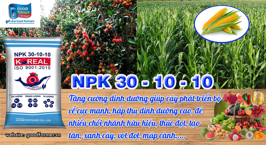 NPK 30 - 10 - 10